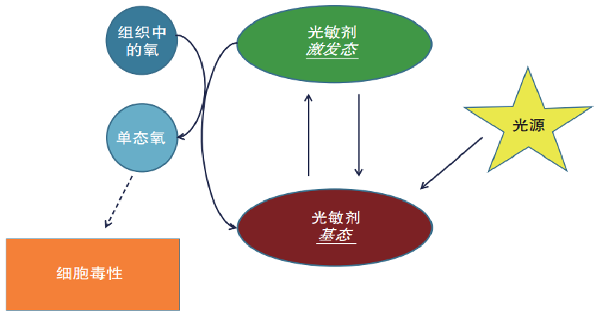 光动力美容疗程